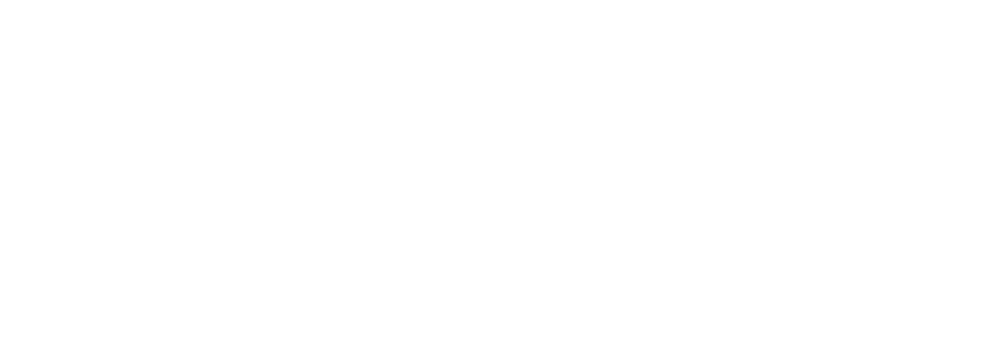 Havlíček Finance